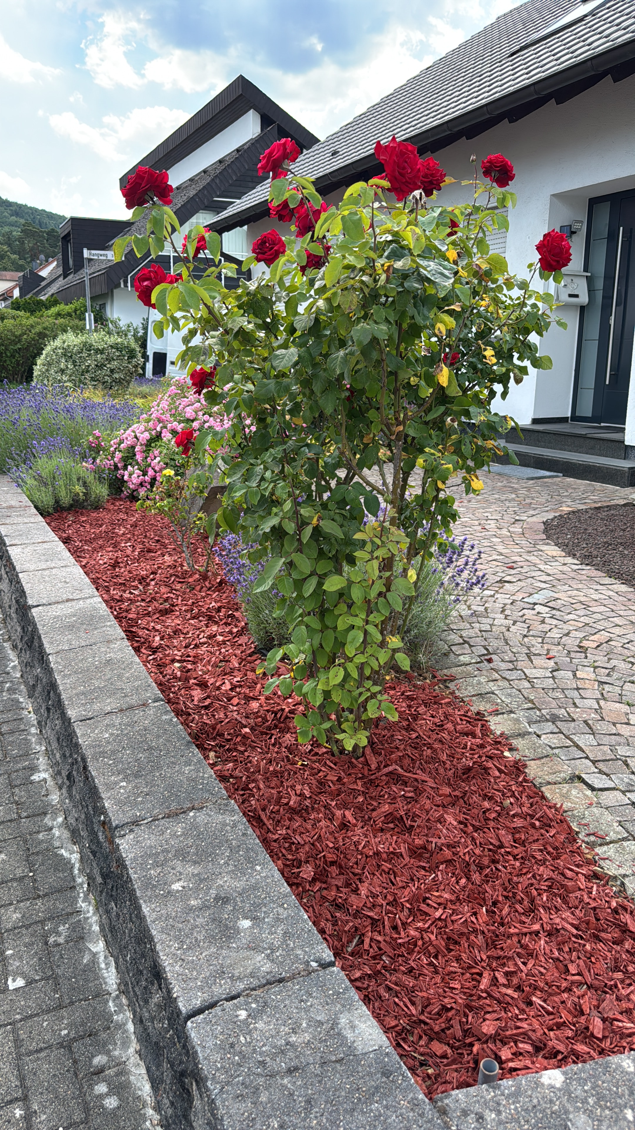 Gartenpflege